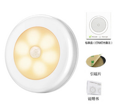 Motion Sensor LED Light