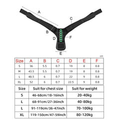 Posture Corrector - PosturePro