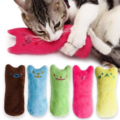 Catnip Toy for Cats